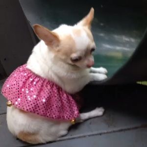 Meet your Posher, Soap